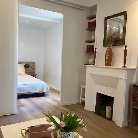 Cannet Historique Appartement Le Cannet