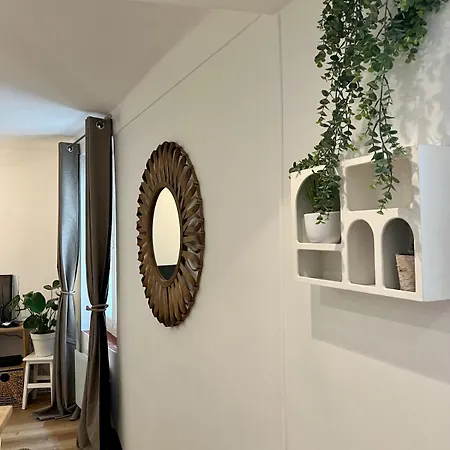 Appartement Cannet Historique